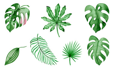 Aquarel botanische illustratie set - tropische bladeren collectie, monstera, palm.