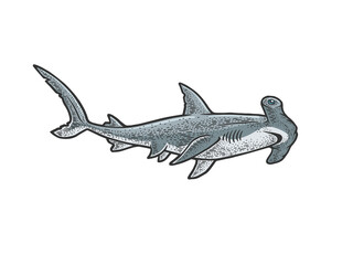 Hammerhead shark sketch raster illustration - obrazy, fototapety, plakaty