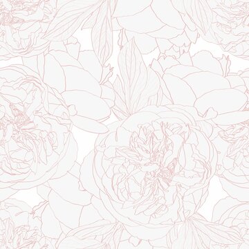 Beige Peony rose  flowers seamless pattern.  Blooming spring summer line flowers illustration. Beige line background.