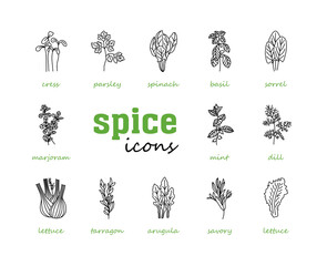 Greenery vector icon set. Vegetable green leaves