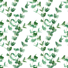 Modèle sans couture vert aquarelle avec des branches d& 39 eucalyptus. Arrière-plan botanique. Motif de verdure.
