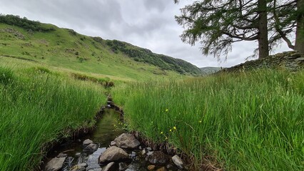 lake in the mountains