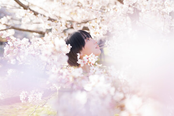 桜と女性のポートレート