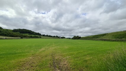 field and blue sky