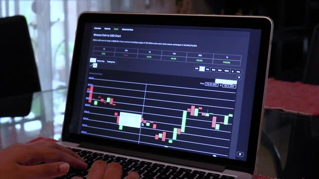 Women browsing Binance Coin 7 days Candle Stick Charts on a Laptop