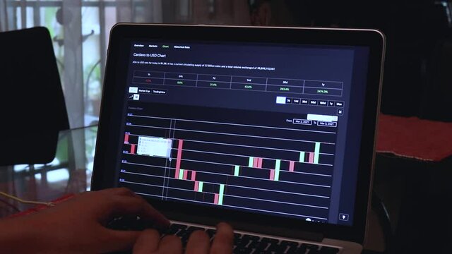 Women going through ADA 1 Day Candle Stick Charts on a Laptop