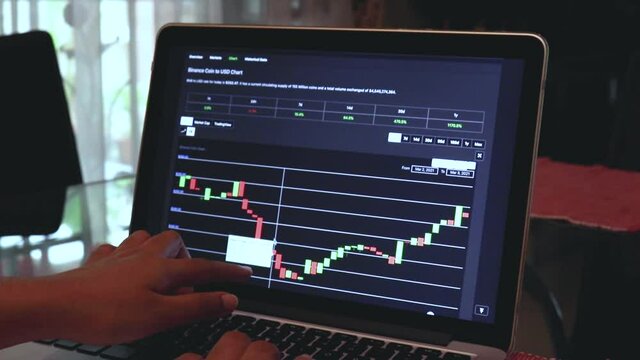Women going through Binance Coin 1 day Candle Stick Charts on a Laptop