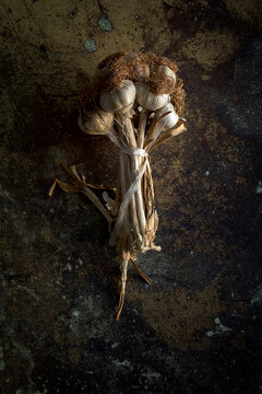 Bouquet of fresh purple garlic