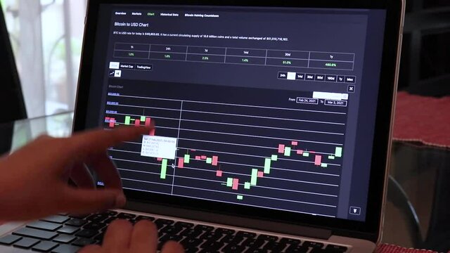 Women going through BTC 7 days Candle Stick Charts on a Laptop