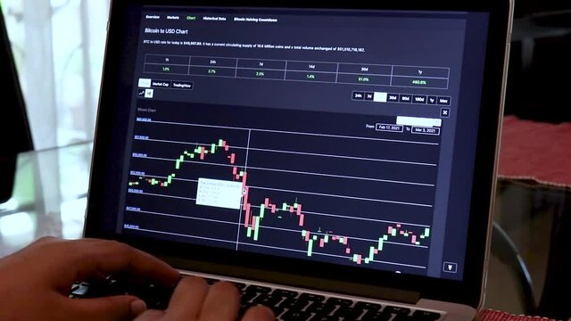 Women going through BTC 14 days Candle Stick Charts on a Laptop