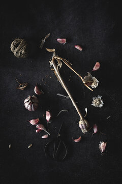 Bouquet of fresh purple garlic