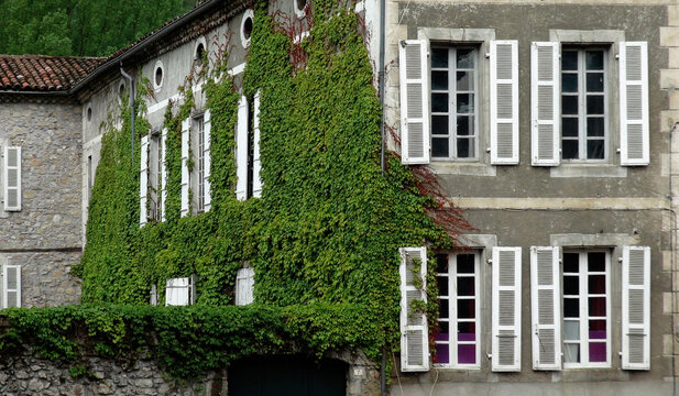 house with windows and ivy, Le Mas d' Azil, France