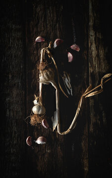 Bouquet of fresh purple garlic
