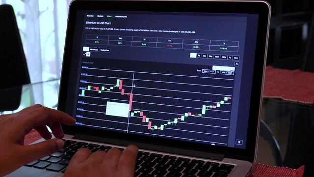 Women going through ETH 1 day Candle Stick Charts on a Laptop