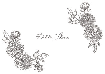 手描きのおしゃれなダリアの花と葉っぱの線画　フレーム