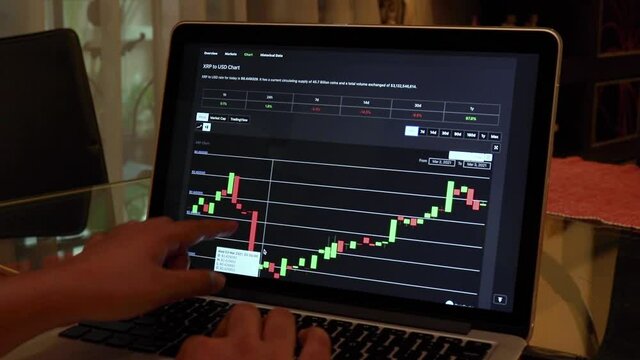 Women going through XRP 24 hours Candle Stick Charts on a Laptop