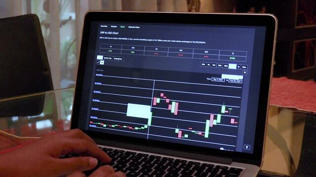 Women going through XRP 180days Candle Stick Charts on a Laptop