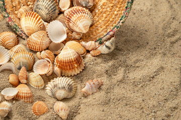 Fototapeta na wymiar Seashells scatter from straw hat abandoned on sandy beach, summer background
