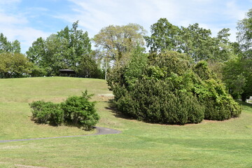 The beautiful green hill of the Hiragishi Takadai in Sapporo Japan