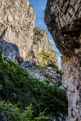 Le long du sentier Blanc-Martel dans les gorges du Verdon