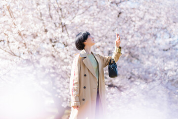 通勤中に桜を見る女性 © One