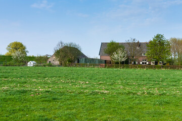 Farm at the Betuwe