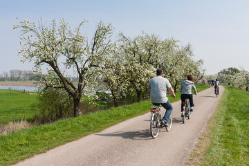 Obraz premium Cyclists at the Betuwe