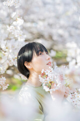 Fototapeta premium 桜と女性のポートレート