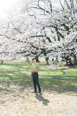 Fototapeta premium 桜と女性のポートレート
