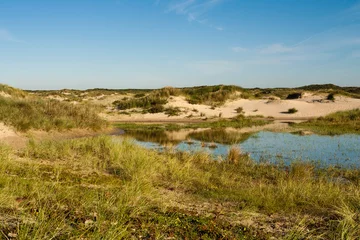 Fototapeten Landscape at the Zuidduinen © AGAMI