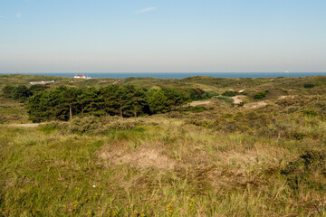 Landscape at the Zuidduinen