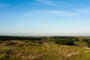 Obraz premium Landscape at the Zuidduinen