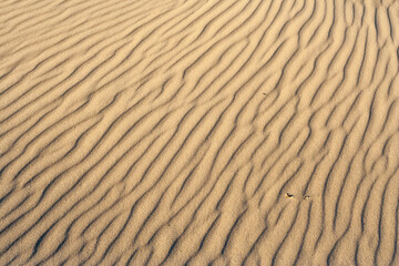 Fototapeta premium Patterns in sand