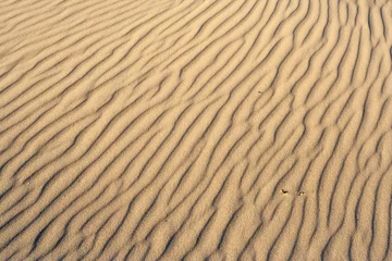 Fototapeten Patterns in sand © AGAMI