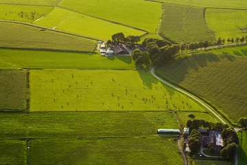 Foto op Plexiglas Landschap van Noord-Holland  Landscape of Noord-Holland © AGAMI