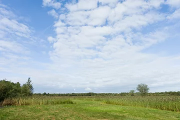 Foto op Plexiglas Landscape at Nationaal Park de Weerribben in summer © AGAMI