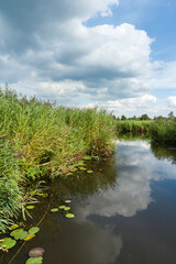 Landscape at Nationaal Park de Weerribben in summer