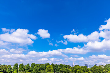 Fototapeta na wymiar 青空と雲と東京のビル