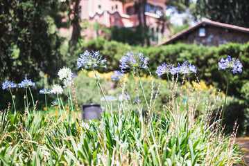 Fototapete bei efototapeten.de bestellen   