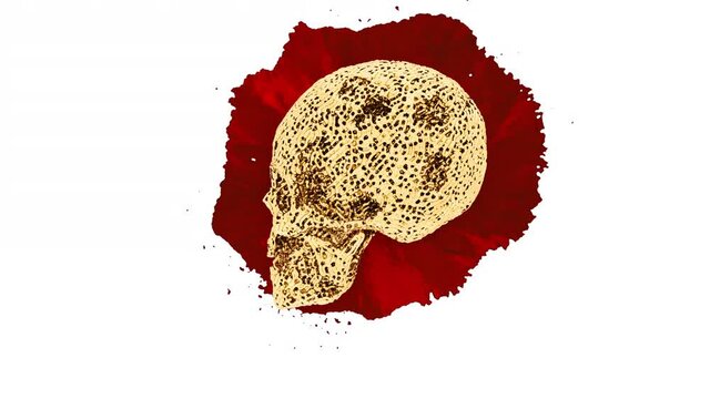 Eroding Skull On Top Of Blood Spill