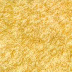 Wheat field natural pattern, drone shot directly above