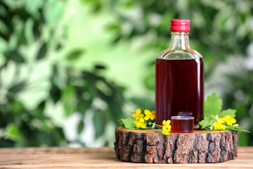 Bottle of celandine tincture and plant on wooden table outdoors, space for text