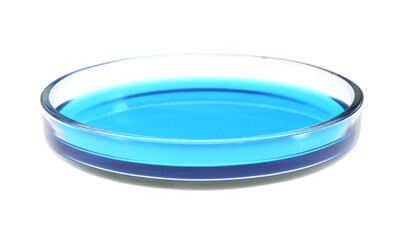 Petri dish with turquoise liquid isolated on white