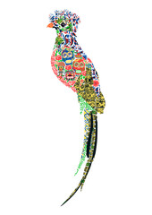 Quetzal  in ornament - 442723796
