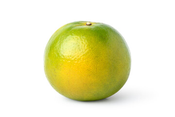 Shogun (Tangerine) orange isolated on white background. Clipping path.