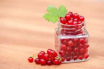Ripe red currant berries picked from a bush on a neutral table background