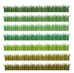 Grass isolated on white background.Green, yellow and brown.Meadows, lawns, fields and gardens.Sign, symbol, icon or logo.Summer, spring and autumn.Nature concept. - obrazy, fototapety, plakaty