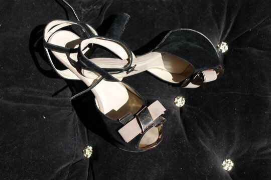 woman velvet shoe