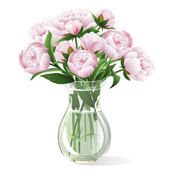 Pink peonies in vase on white background. Vector illustration.