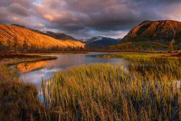 A swamp in the mountains in the first rays of the sun on an autumn morning